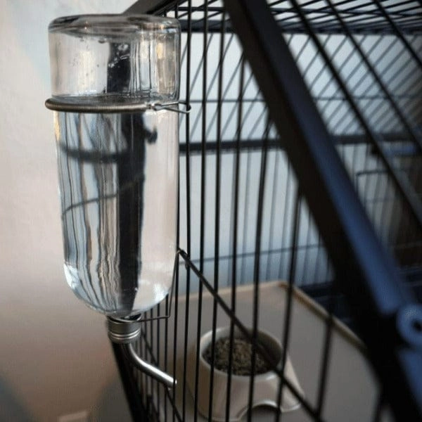 Oxbow Enriched Life - Chew Proof Glass Water Bottle