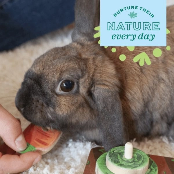 Oxbow Enriched Life - Crunchy Carrot