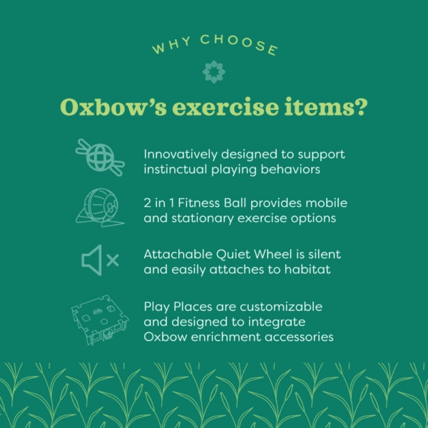 Oxbow Enriched Life - Customizable Play Place