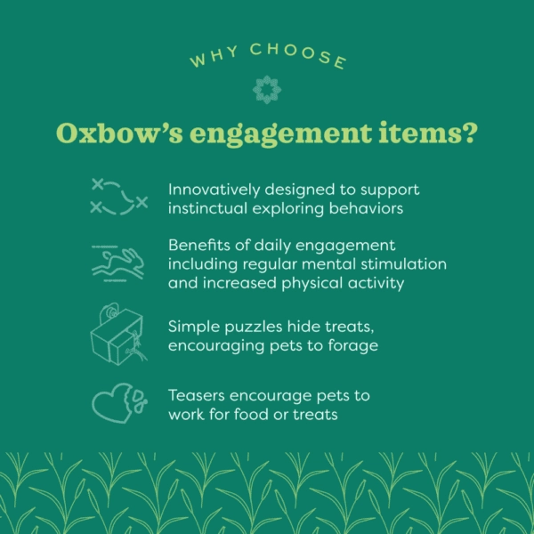 Oxbow Enriched Life - Hide Box Hanger