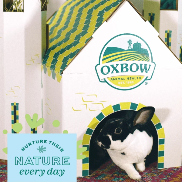 Oxbow Enriched Life - Hideaway Dream Cottage