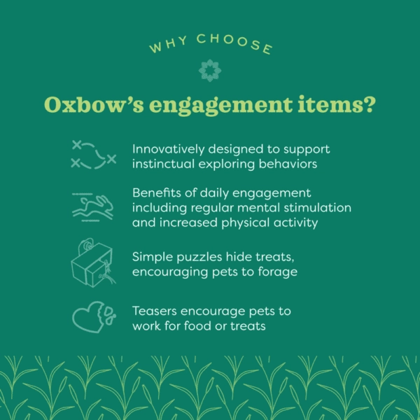 Oxbow Enriched Life - Play Table