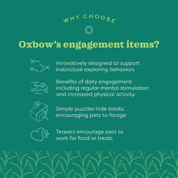 Oxbow Enriched Life - Play Wall