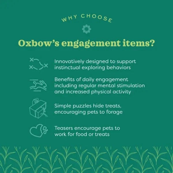 Oxbow Enriched Life - Pyramid Treat Hanger