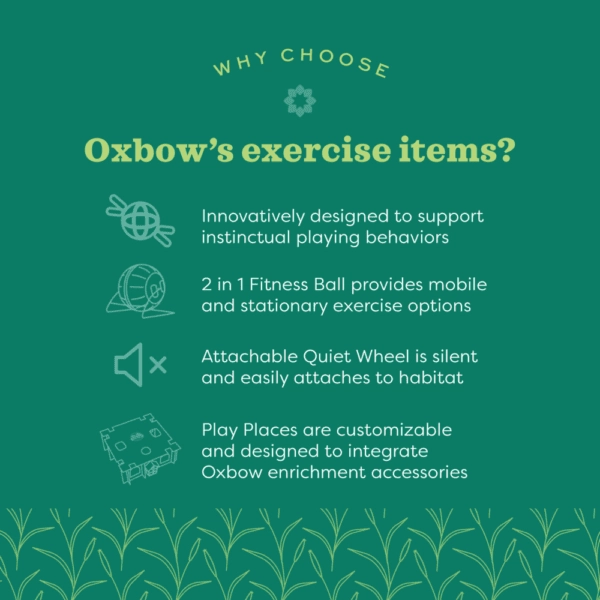 Oxbow Enriched Life - Run Around Ball