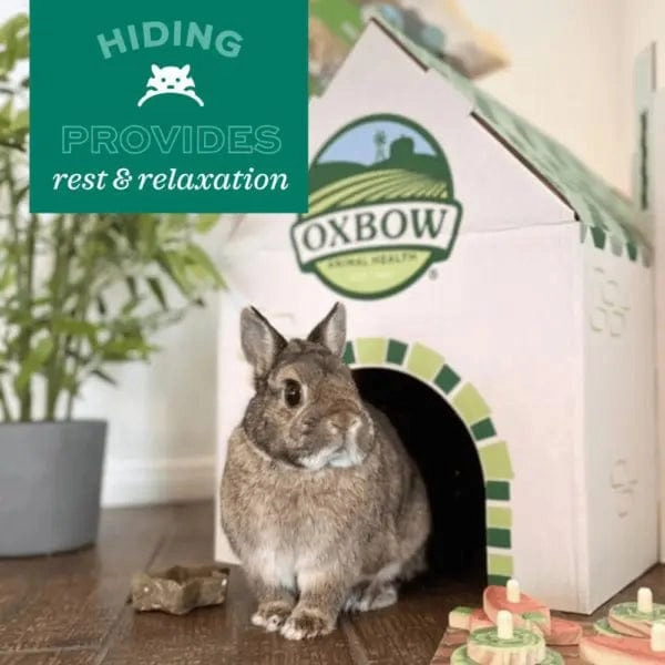 Oxbow Enriched Life - Timothy Hut