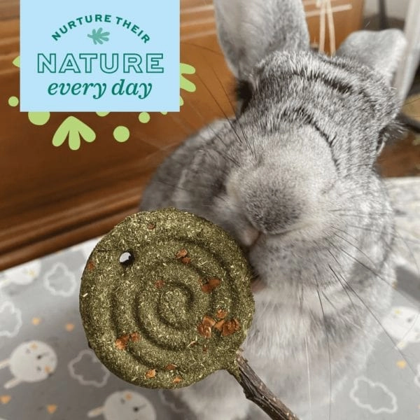 Oxbow Enriched Life - Timothy Lollipop; Carrot