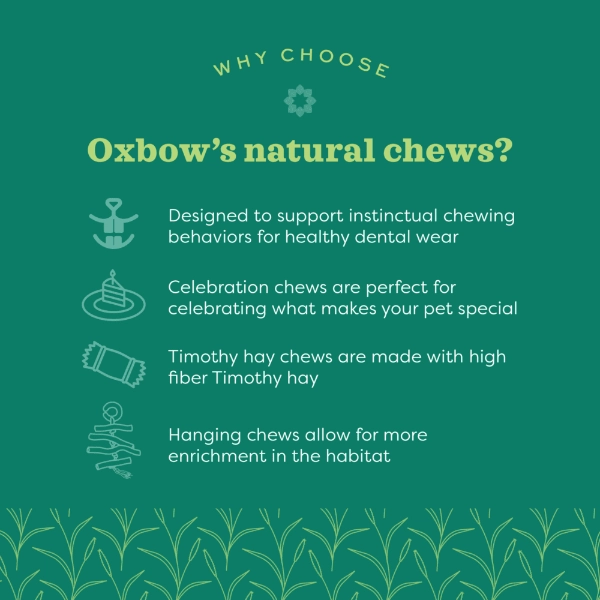 Oxbow Enriched Life - Timothy Lollipop; Carrot