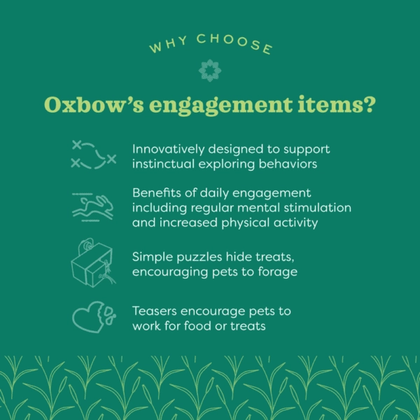 Oxbow Enriched Life - Wooden Puzzler