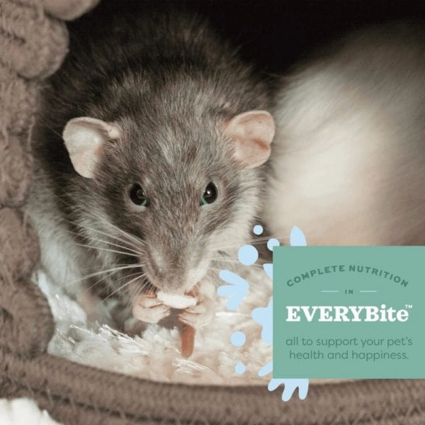 Oxbow Essentials Adult Rat Food