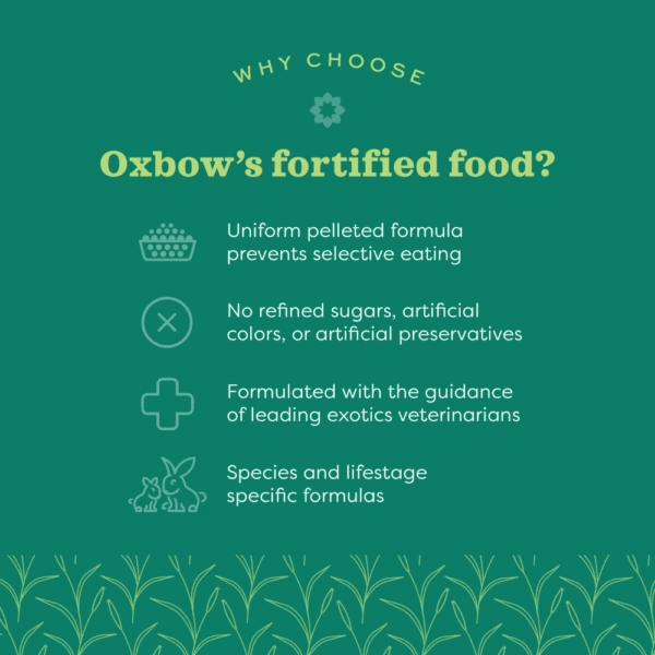 Oxbow Essentials Mouse & Young Rat Food