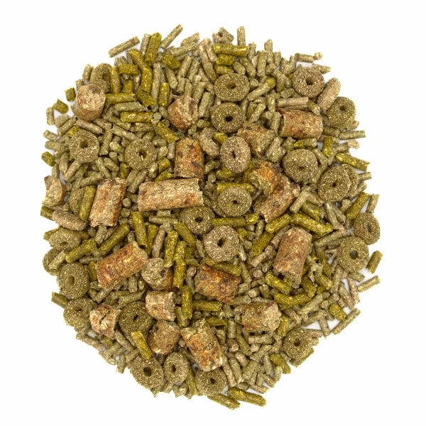 Oxbow Forage Wise Adult Guinea Pig Food