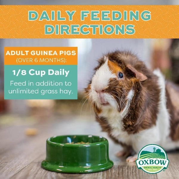 Oxbow Forage Wise Adult Guinea Pig Food
