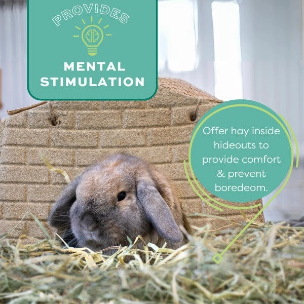 Oxbow Hay Blends Western Timothy & Orchard Grass