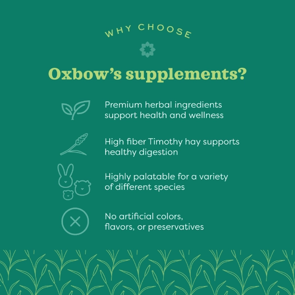Oxbow Natural Science Vitamin C Supplement