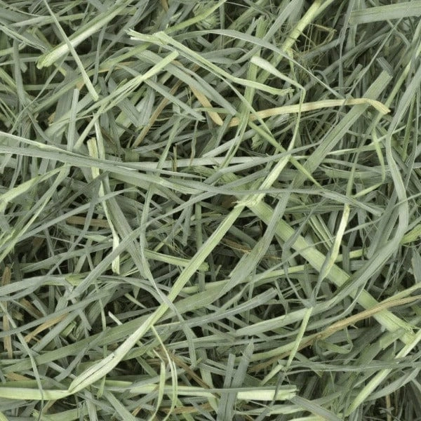 Oxbow Orchard Grass Hay