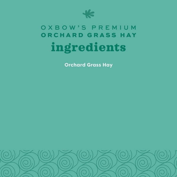 Oxbow Orchard Grass Hay