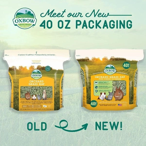 Oxbow Orchard Grass Hay