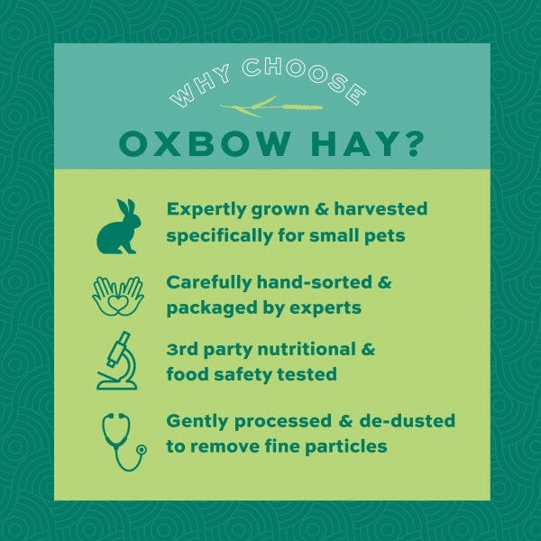 Oxbow Prime Cut Hay; Hearty & Crunchy