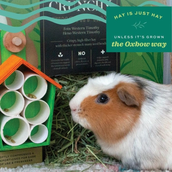 Oxbow Prime Cut Hay; Hearty & Crunchy