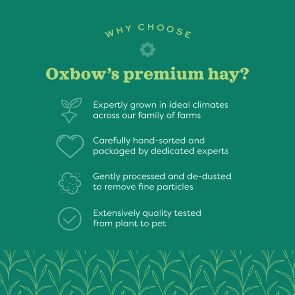Oxbow Prime Cut Hay; Hearty & Crunchy