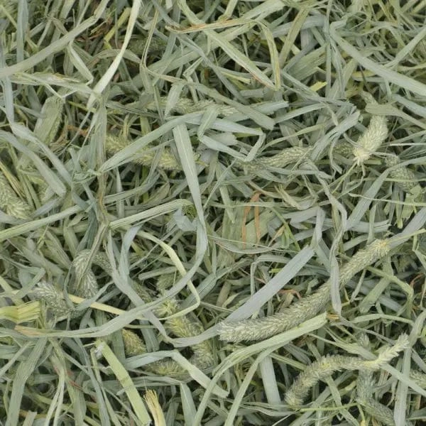 Oxbow Prime Cut Hay; Hearty & Crunchy