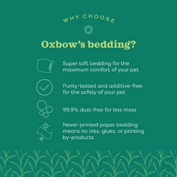 Oxbow Pure Comfort Natural Bedding