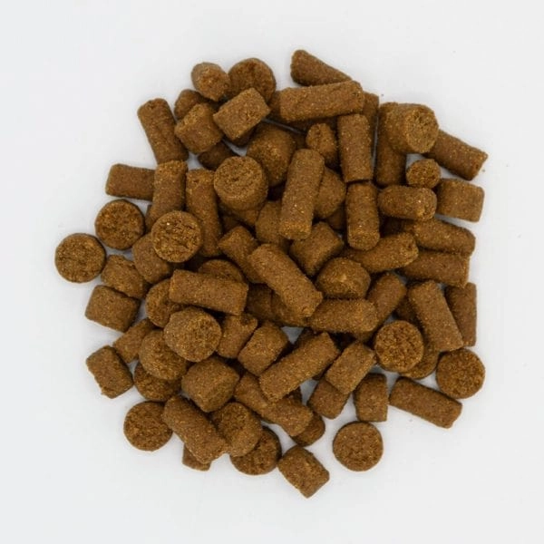 Oxbow Real Prey Rewards Chicken Ferret Treats