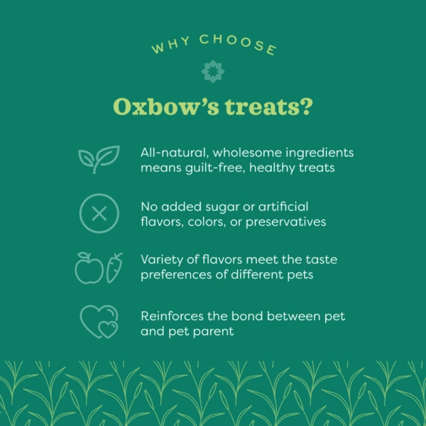 Oxbow Simple Rewards Baked Treats with Apple & Banana