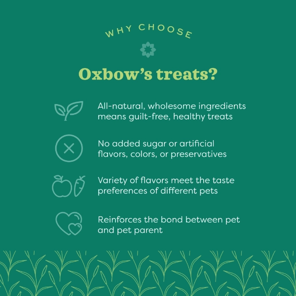 Oxbow Simple Rewards Baked Treats with Cranberry