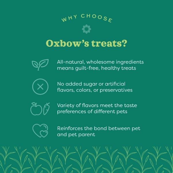 Oxbow Simple Rewards Freeze Dried Banana Treats