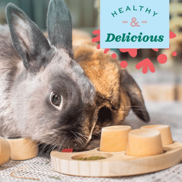 Oxbow Simple Rewards Freeze Dried Strawberry Treats
