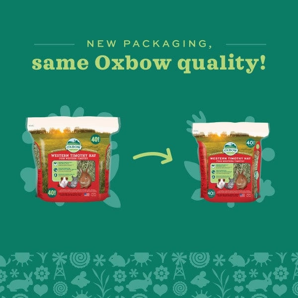Oxbow Western Timothy Hay
