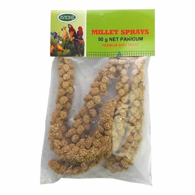 Panicum Millet Spray (50g)