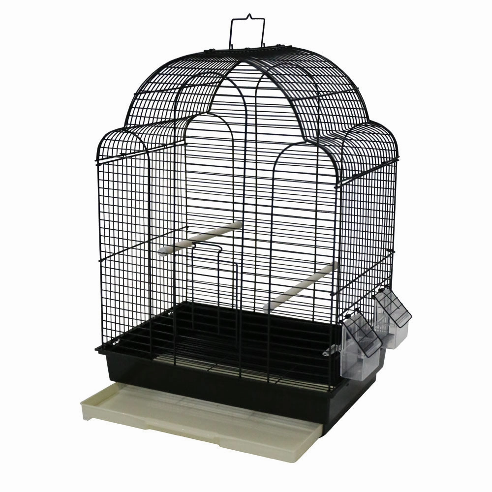Paradise - Scallop Top Bird Cage