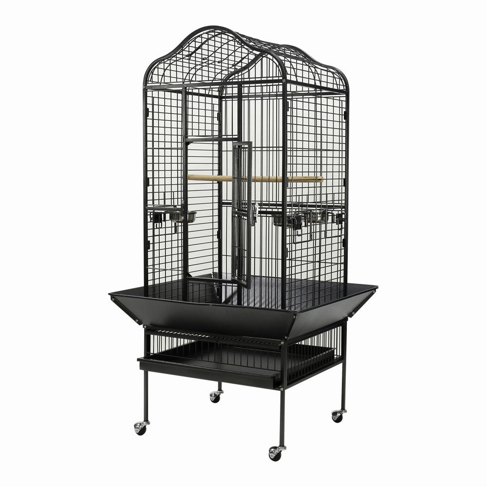 Paradise - Scallop Top Small Aviary