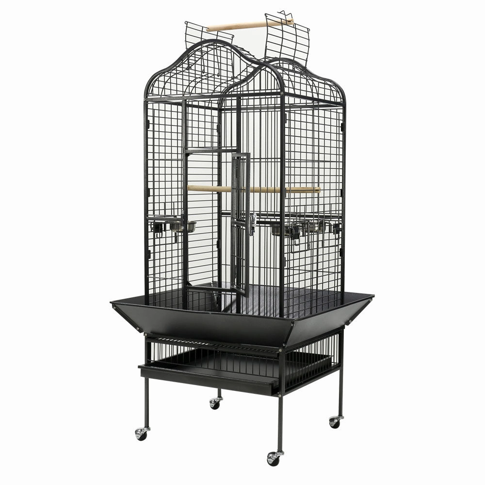 Paradise - Scallop Top Small Aviary