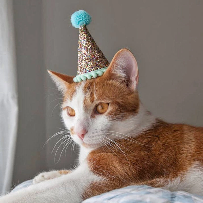 Party Hat