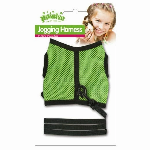 Pawise Small Animal Harness and Lead Set