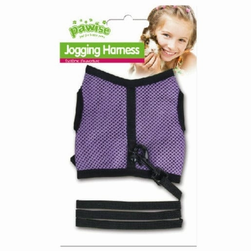 Pawise Small Animal Harness and Lead Set
