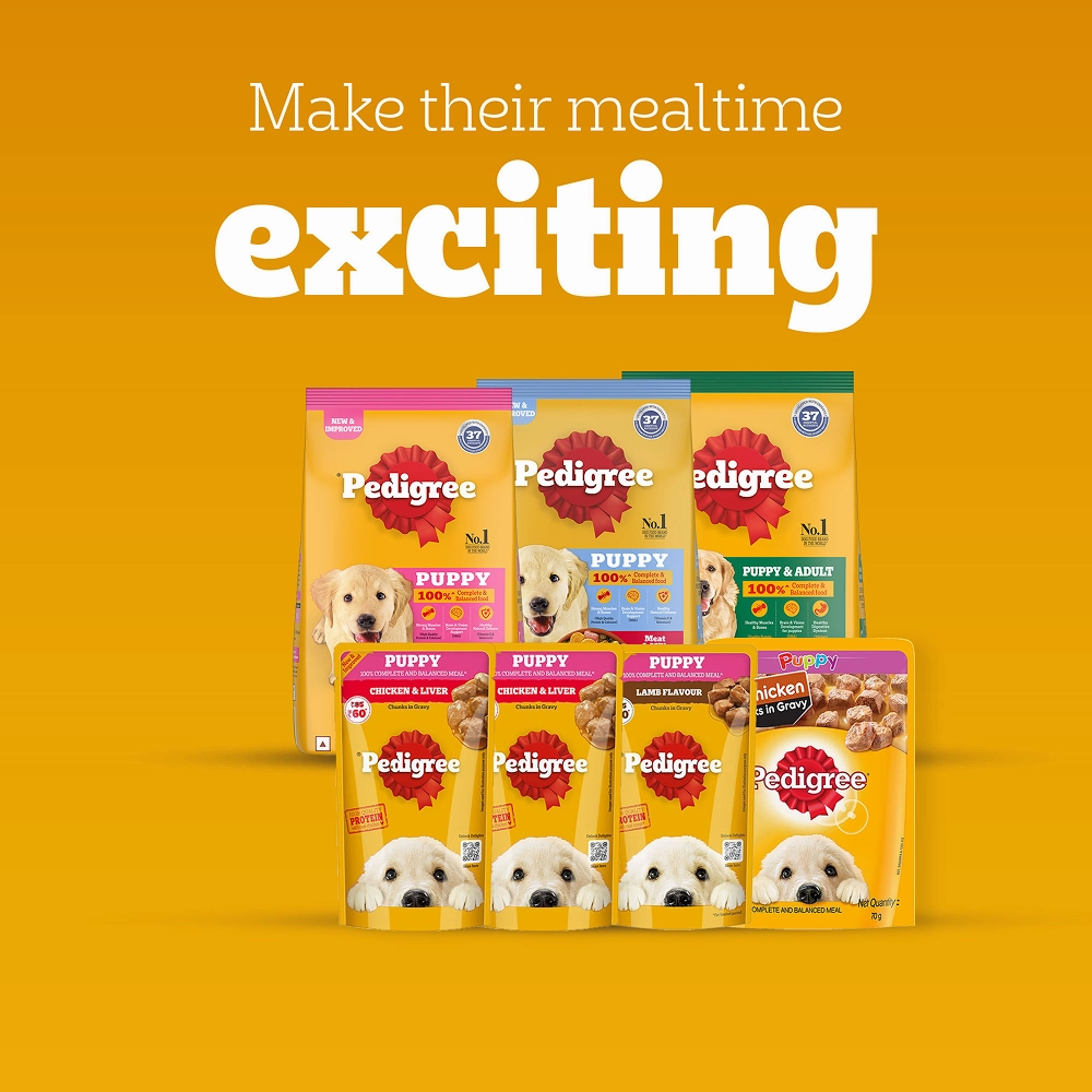 Pedigree Chicken and Milk Puppy Dog Dry Food