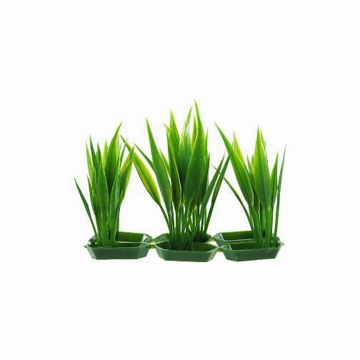 Penn Plax Foreground Plastic Plant; available in different styles