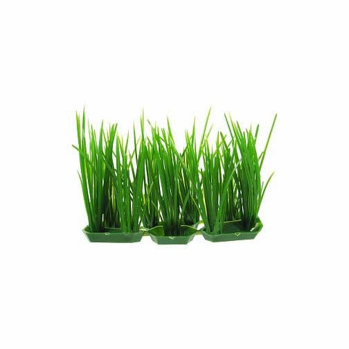 Penn Plax Foreground Plastic Plant; available in different styles