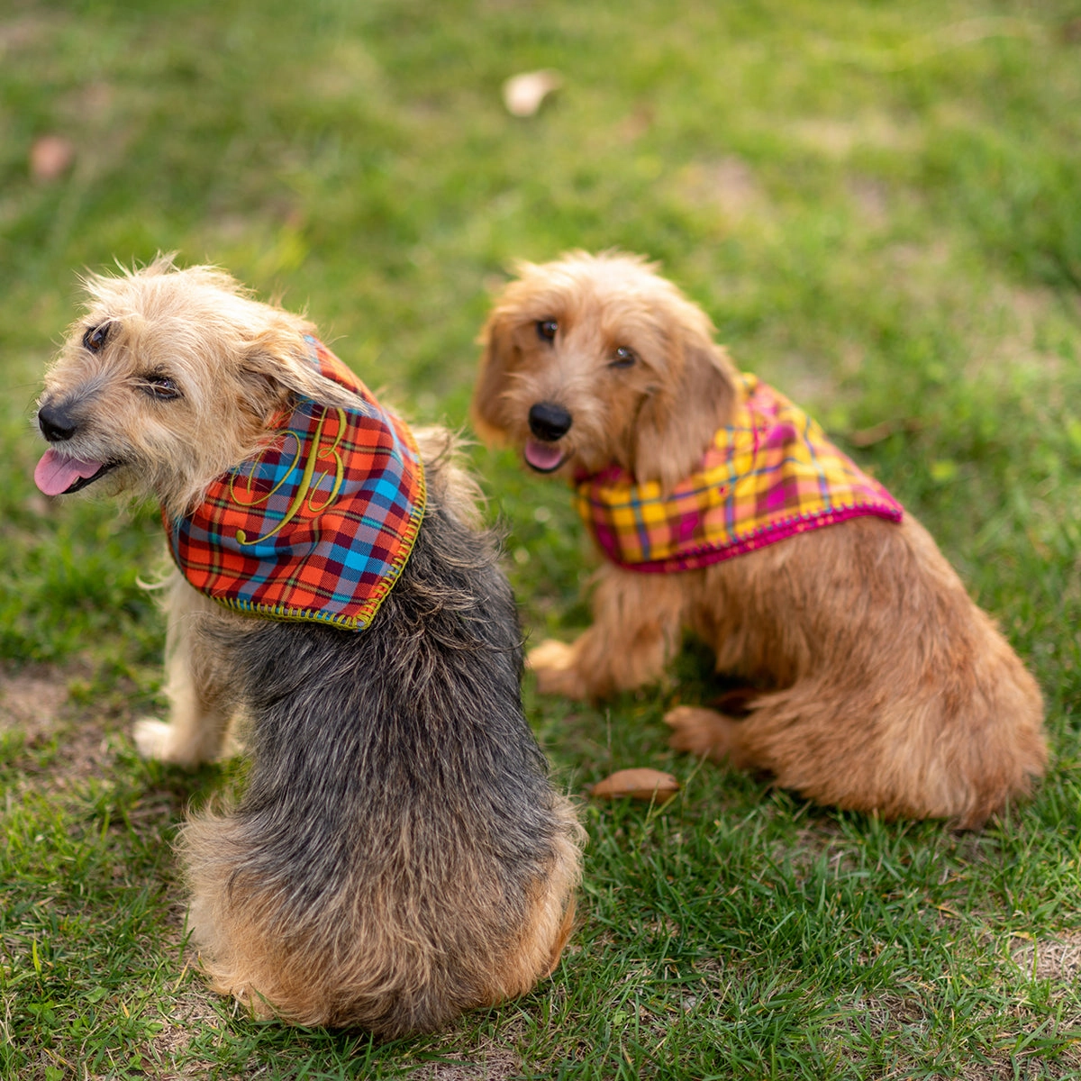 Personalized Dog Bandana Brando Tartan