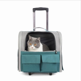 Pet Trolley Bag Turquoise W40cm x D25cm x H38cm (725011)