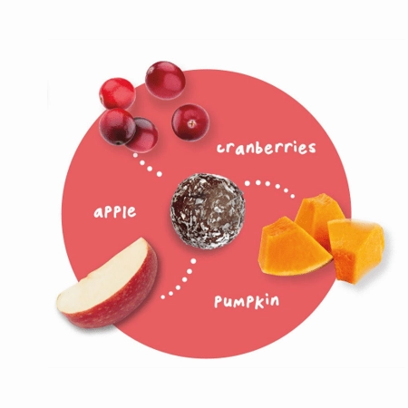 Petervescence Treat-A-Balls Cranberry, Pumpkin & Apple