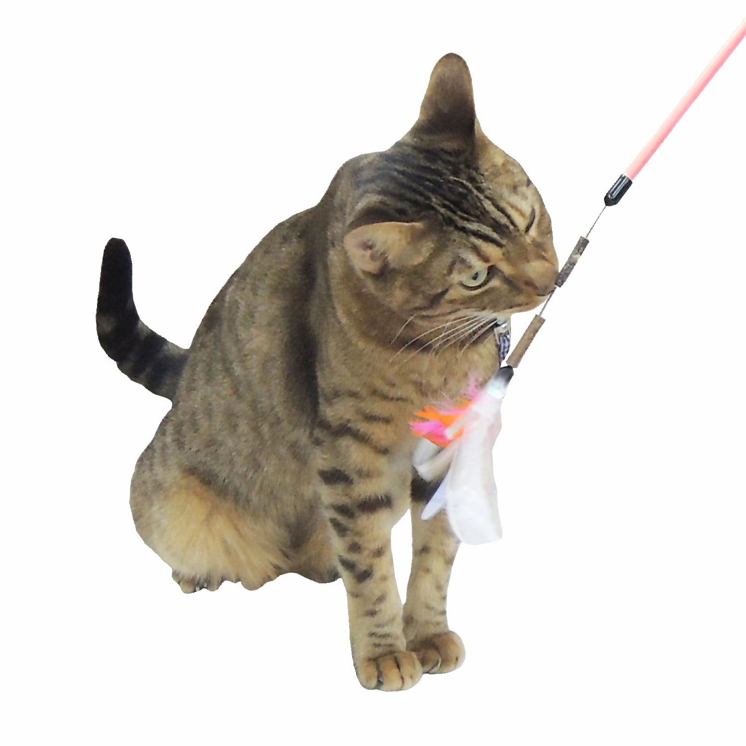 Petz Route Cat Toy Rustling Sounds Stick Toy with Silvervine Pink