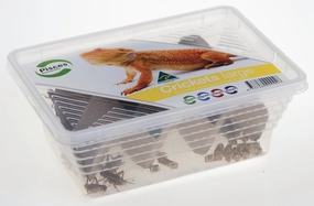 Pisces - Live Crickets Large Tub
