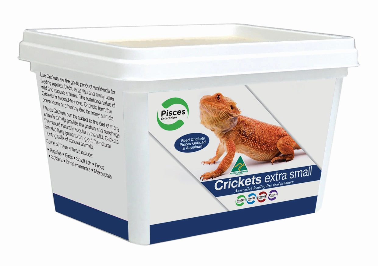 Pisces - Live Crickets X-Small Tub