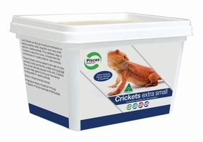 Pisces - Live Crickets X-Small Tub